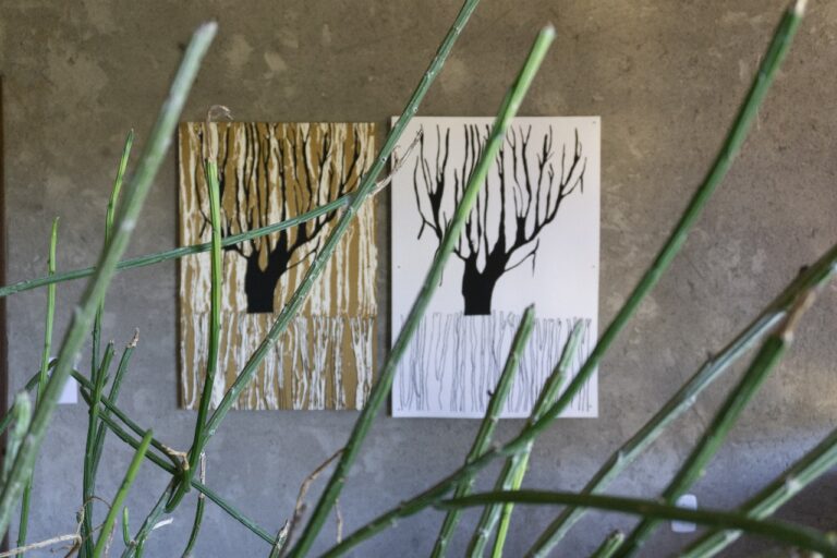 Artes visuais: Vilarejo 21 abre seleção para residência